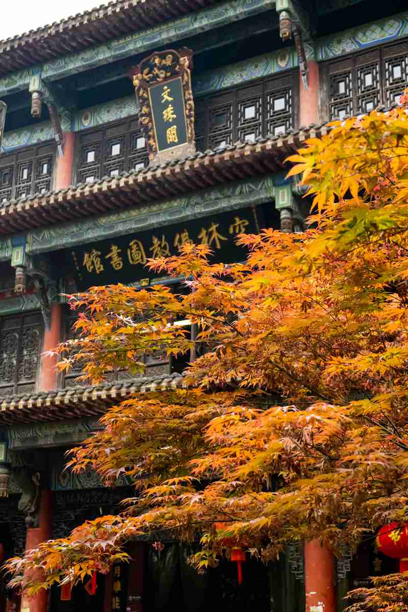 成都旅游必看，别光顾着吃火锅，这些地方才是真·巴适-第3张图片-四川省中国青年旅行社